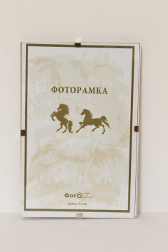 Рамка стекло Fotex 10х15 22884 клип