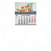 Одинарный, А4, горизонтальный шпигель